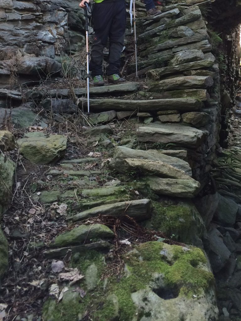 Segni di coppelle tra gli scalini di pietra in Valmalenco. Foto Michele Comi