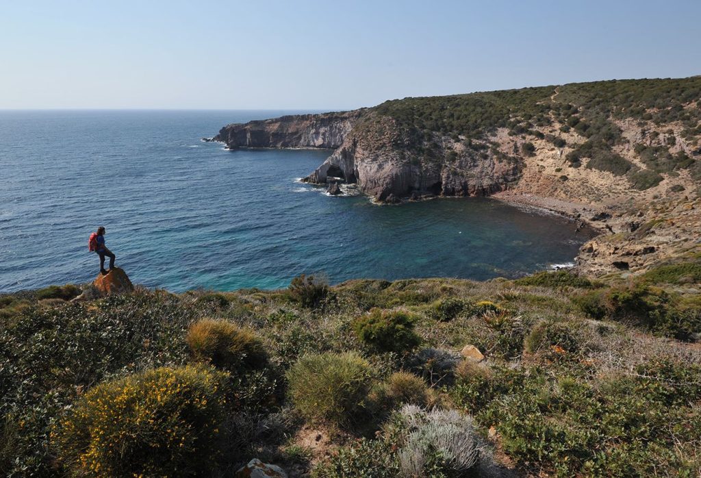 Un tratto del percorso da Torre Canai a Cala Sapone. Foto Lino Cianciotto