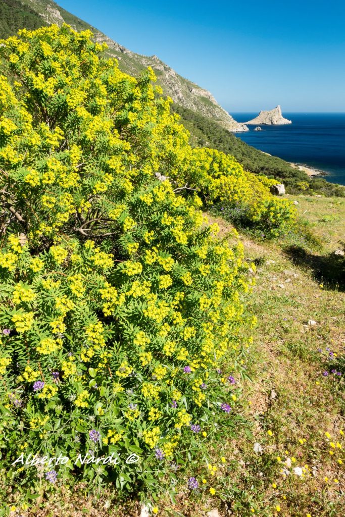 Verso Punta Troia. Foto Alberto Nardi