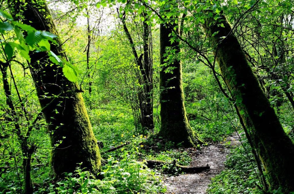 Piccolo è bello. Lo straordinario successo del Cammino più corto d’Italia