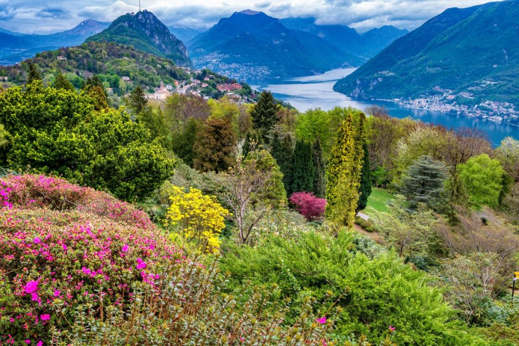 Azalee e rododendri del Parco Botanico San Grato. Foto Alberto Nardi