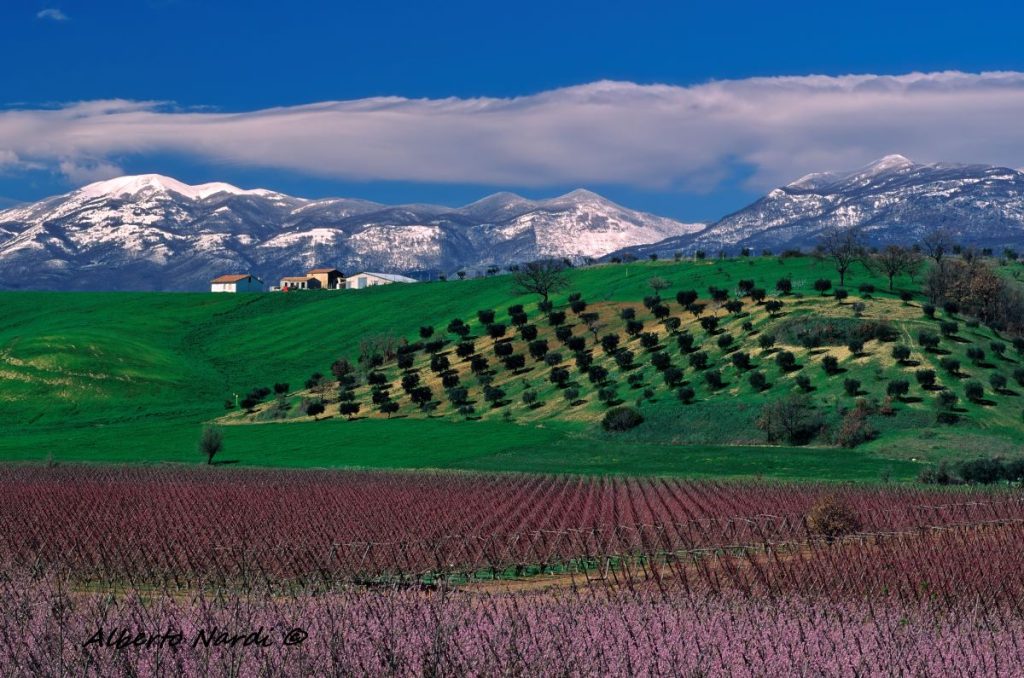 I monti di Orsomarso visti dalla Piana di Sibari. Foto Alberto Nardi