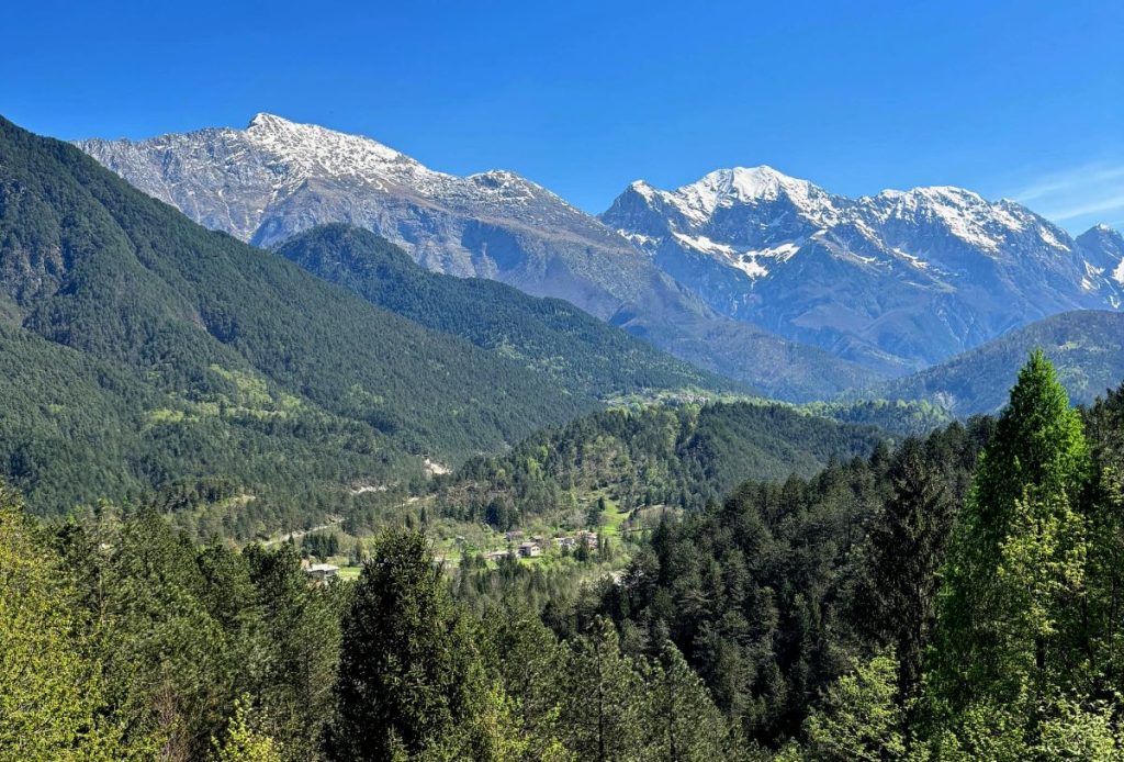 Il monte Sart e il Gruppo del Canin visti da Oseacco