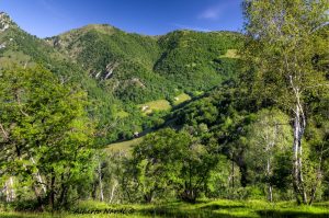 Vista sul Monte Filaressa salendo verso Salmezza. Foto Alberto Nardi
