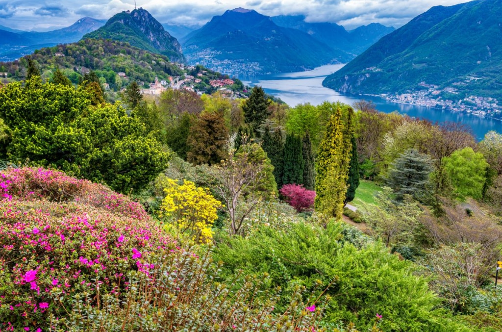 Azalee e rododendri del Parco Botanico San Grato. Foto Alberto Nardi