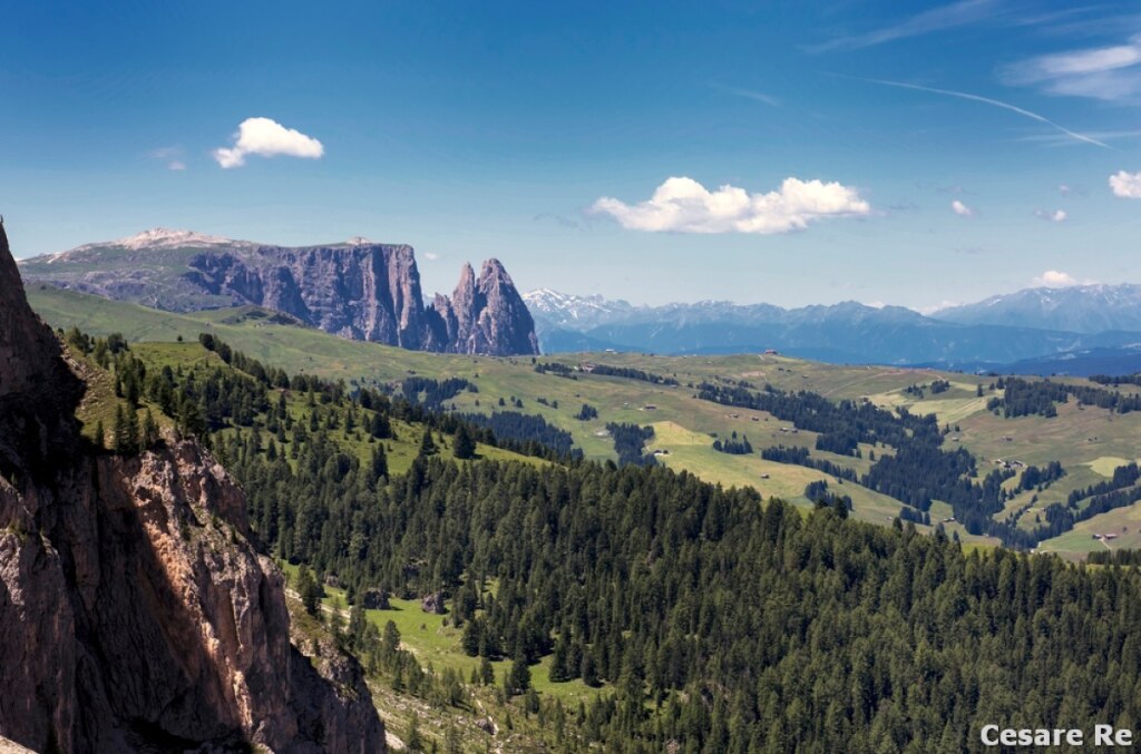 Il Monte Pez, lo Sciliar e i prati dell