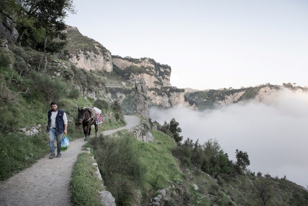 Antonio Milo e il mulo Limone sul Sentiero degli Dei, foto Natalino Russo