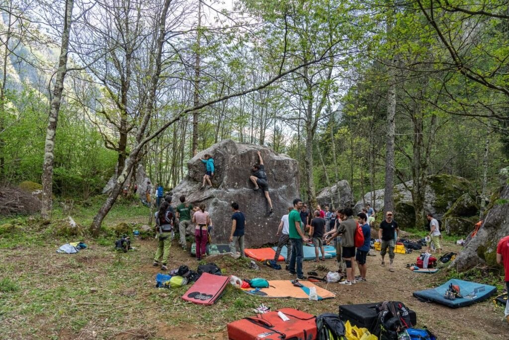Appuntamento nel bosco