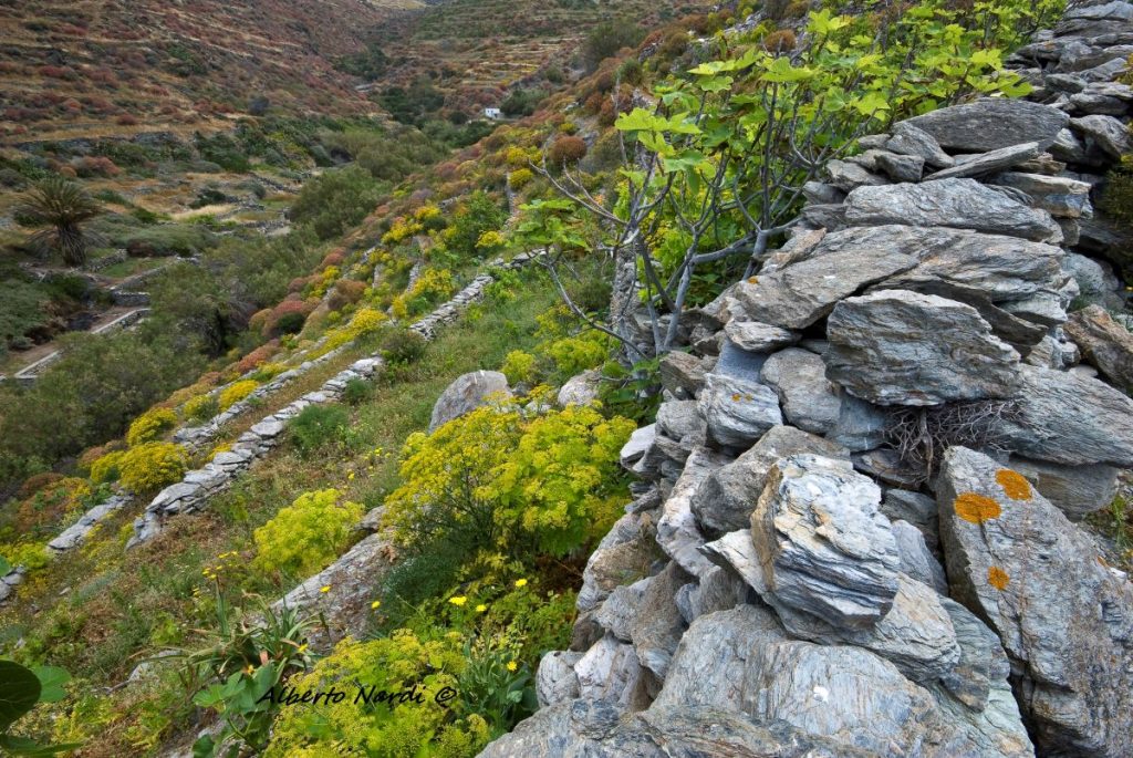 Folegandros, lungo i sentieri dell