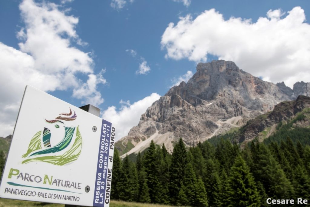Il Cimon della Pala visto dal sentiero. Foto Cesare Re