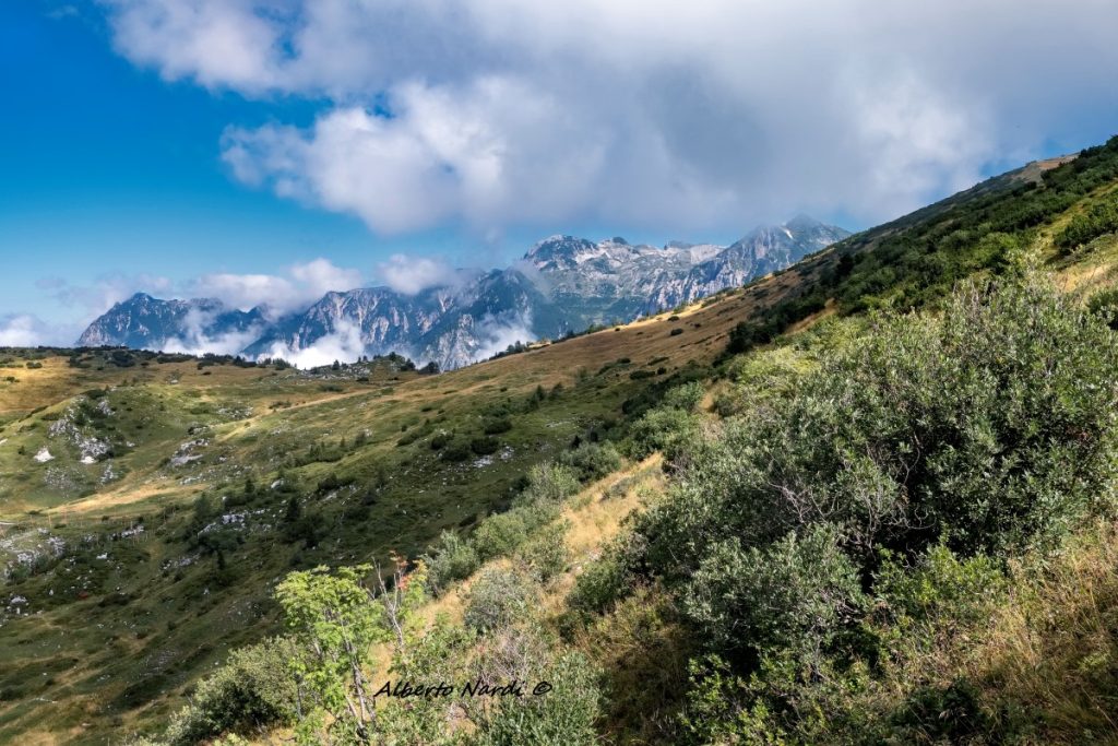 Il Gruppo del Carega visto dalle pendici di Cima Trappola. Foto Alberto Nardi
