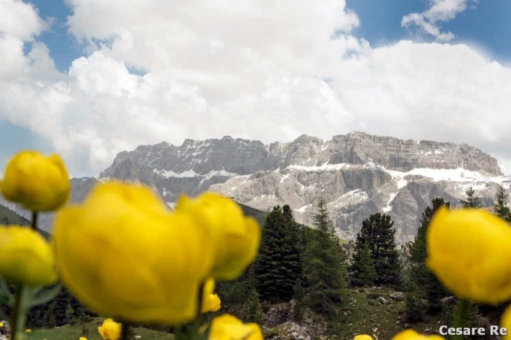 Il Gruppo del Sella. Foto Cesare Re