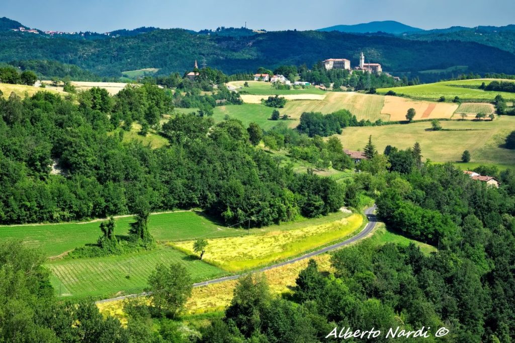 Il paesaggio intorno a Sale San Giovanni, nelle Langhe. Foto Alberto Nardi