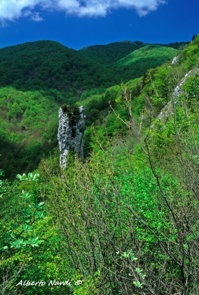 Il pinnacolo calcareo della Pietra Campanara. Foto Alberto Nardi