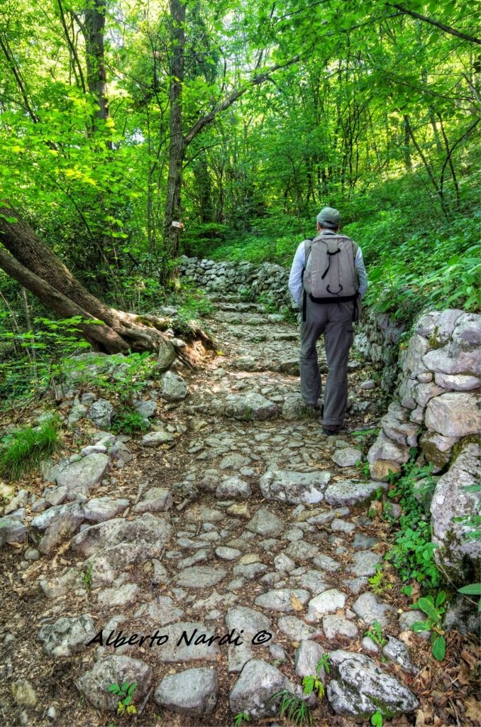 Il sentiero 534 tra Lonno e Salmezza. Foto Alberto Nardi