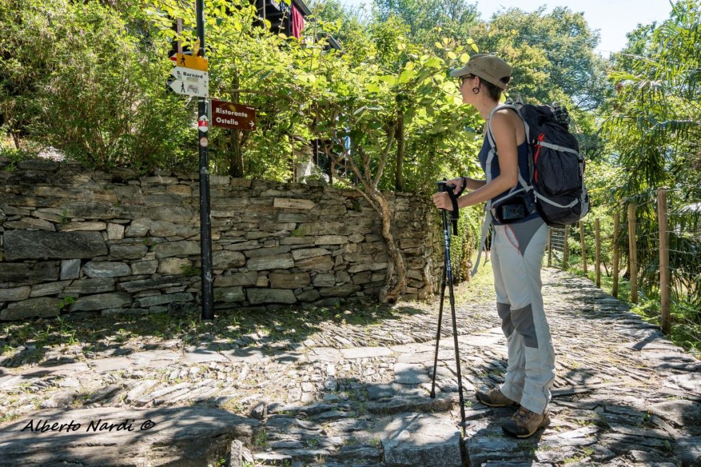 Il sentiero a Curzutt. Foto Alberto Nardi