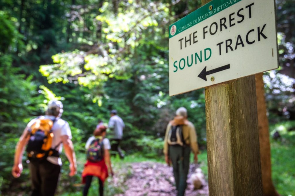 In cammino nel bosco che suona