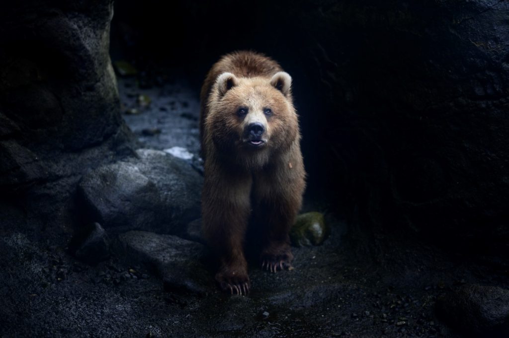 Incrocio di sguardi @ANSA