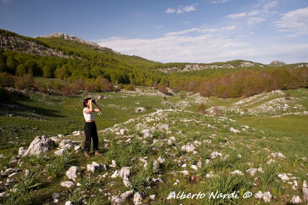 La Valle del Manzerracchio in primavera. Foto Alberto Nardi