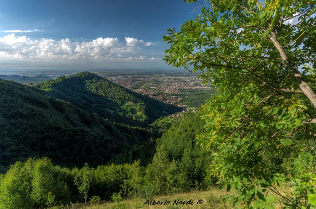 La vista sulla pianura dal sentiero 533. Foto Alberto Nardi