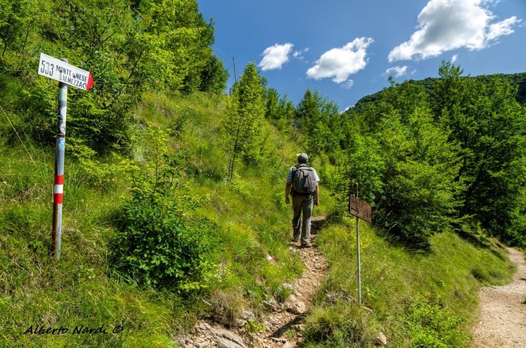 Lungo il sentiero 533. Foto Alberto Nardi