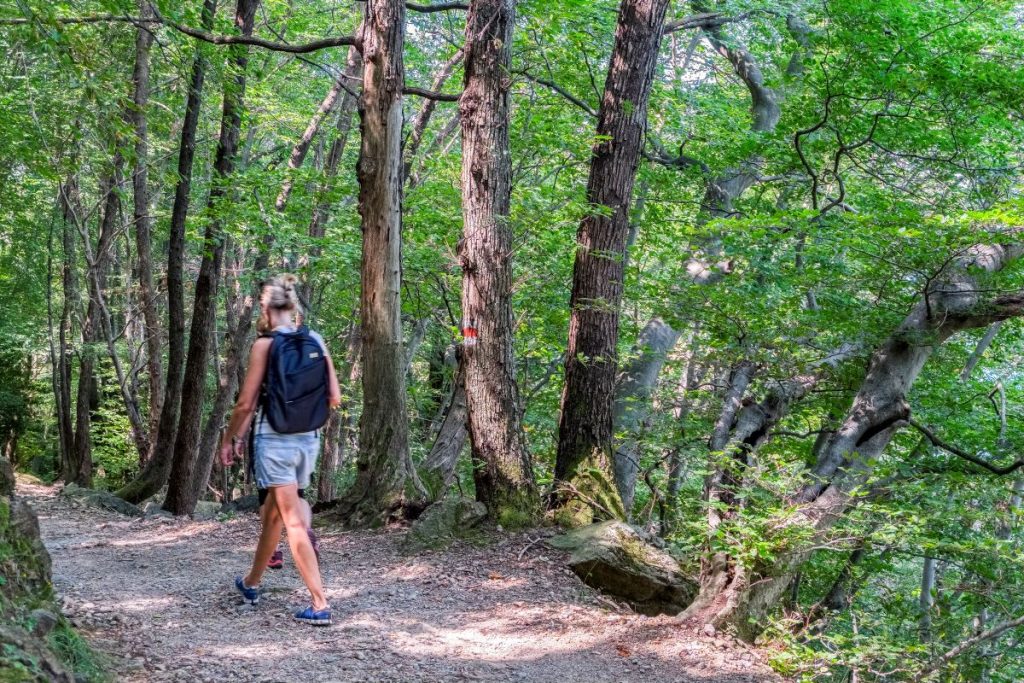 Lungo il sentiero per Carona. Foto Alberto Nardi