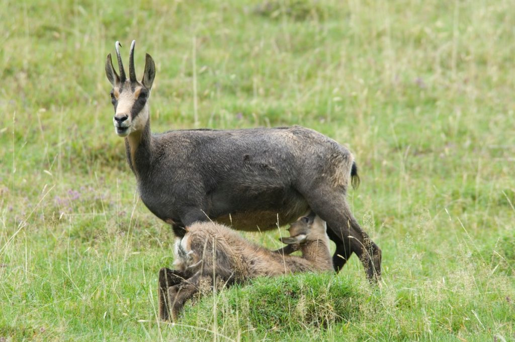 Mamma e figlio. Meglio rimanere a distanza @ AdobeStock
