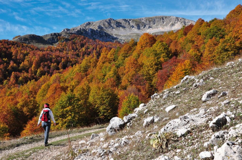 Monte Marsicano, autunno al Ferroio di Scanno. Foto Stefano Ardito