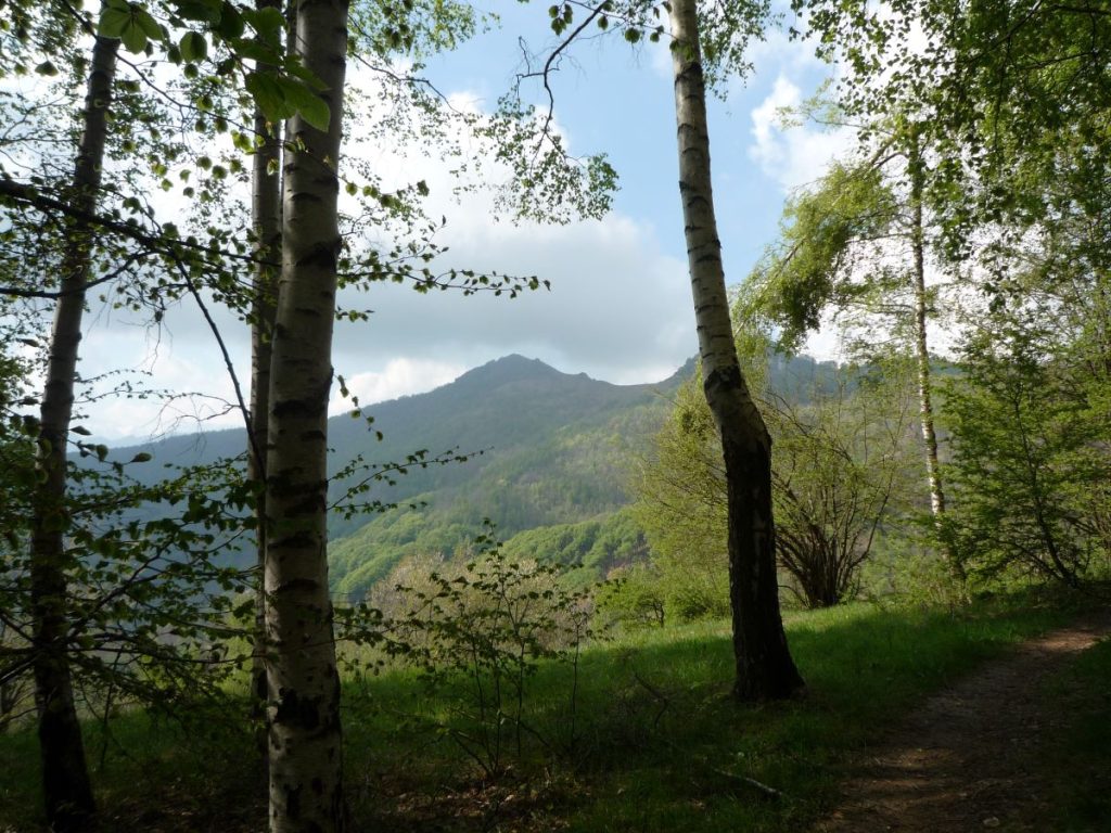 Monte Tagliaré. Foto Lorenzo Volpe