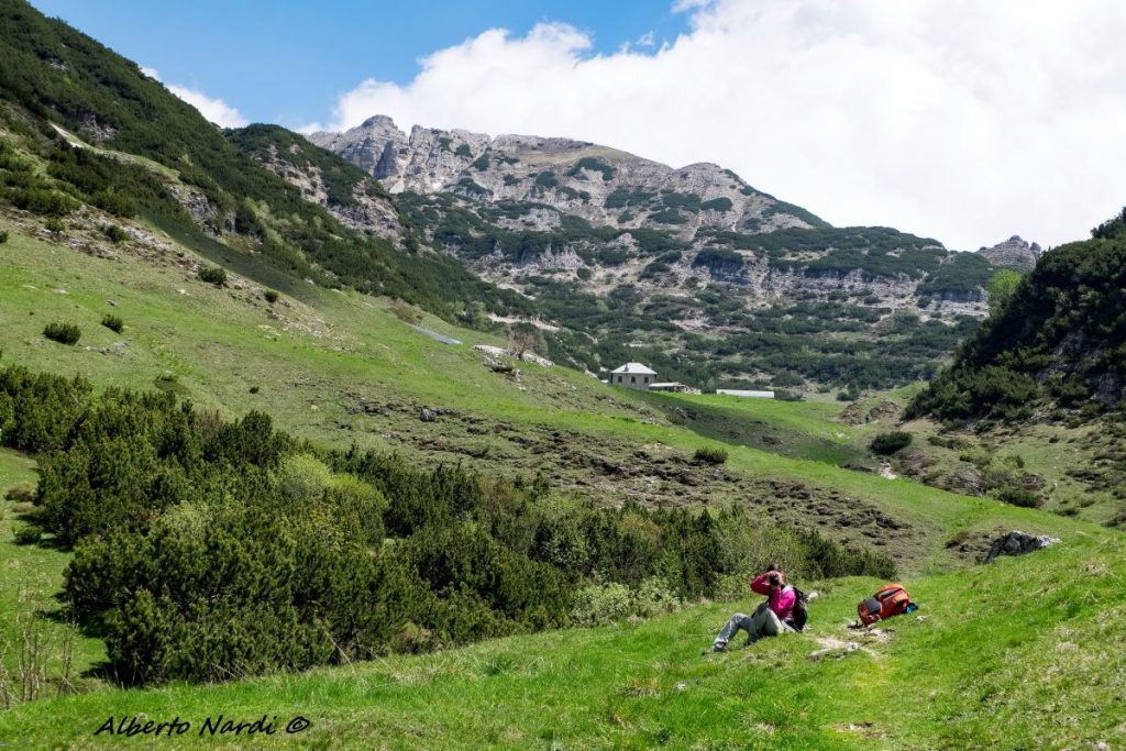 Nella riserva naturale di Campobrun. Foto Alberto Nardi