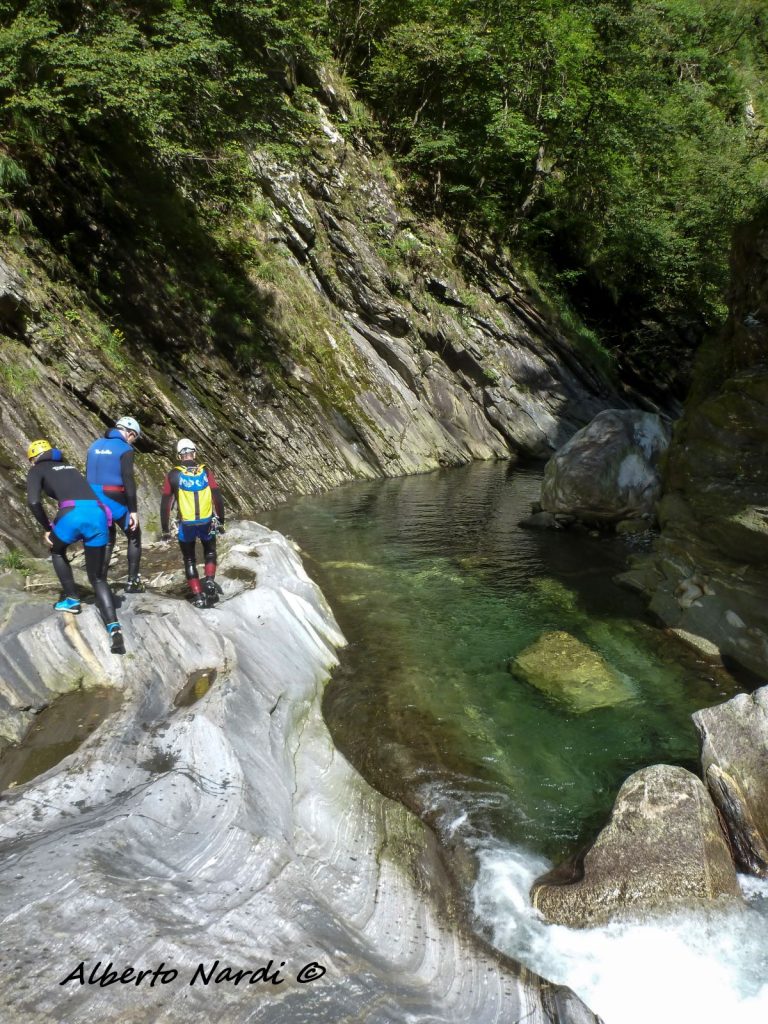 Poco prima di un tuffo. Foto Alberto Nardi