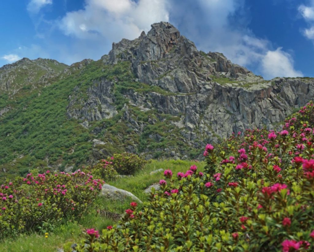 Salendo a Basagrana da Trontano