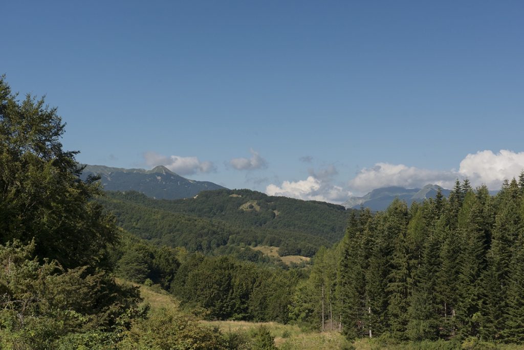Si sale in una frequente alternanza di boschi e radure. Foto Roberto Carnevali