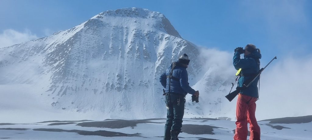 Si verifica la presenza di orsi polari. Foto Matteo Colizzi