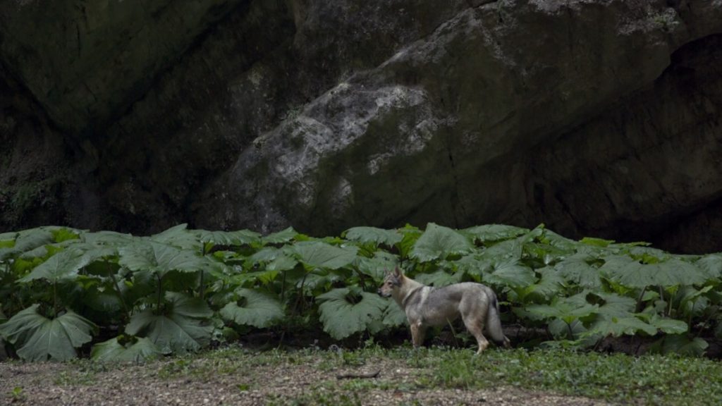 Una scena di Nessun altro posto al mondo