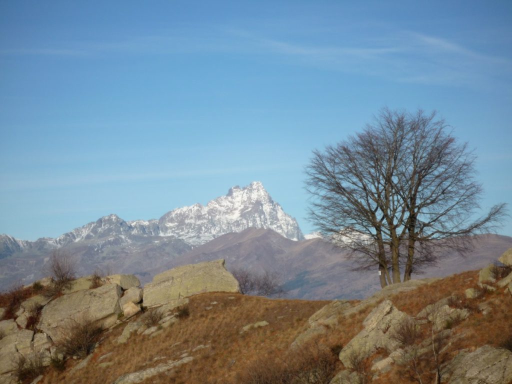Vista sul Monviso. Foto Lorenzo Volpe