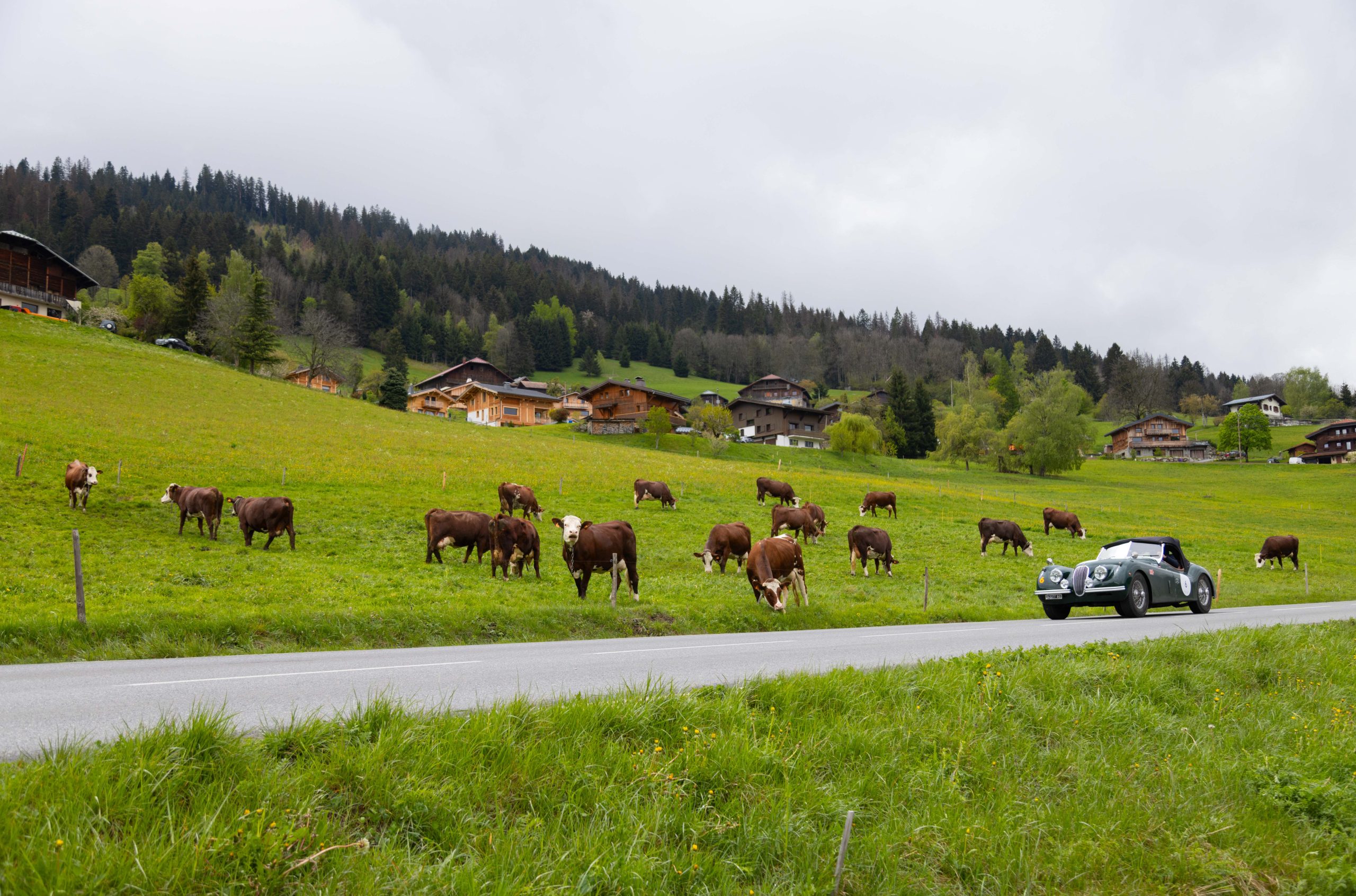 @ Coppa delle Alpi by 1000 Miglia 12