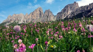Il gruppo del Cir, dai pressi del Passo Gardena.