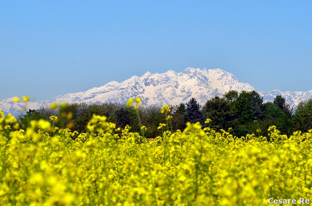 Lo sfocato come scelta consapevole, nel paesaggio di montagna e non solo