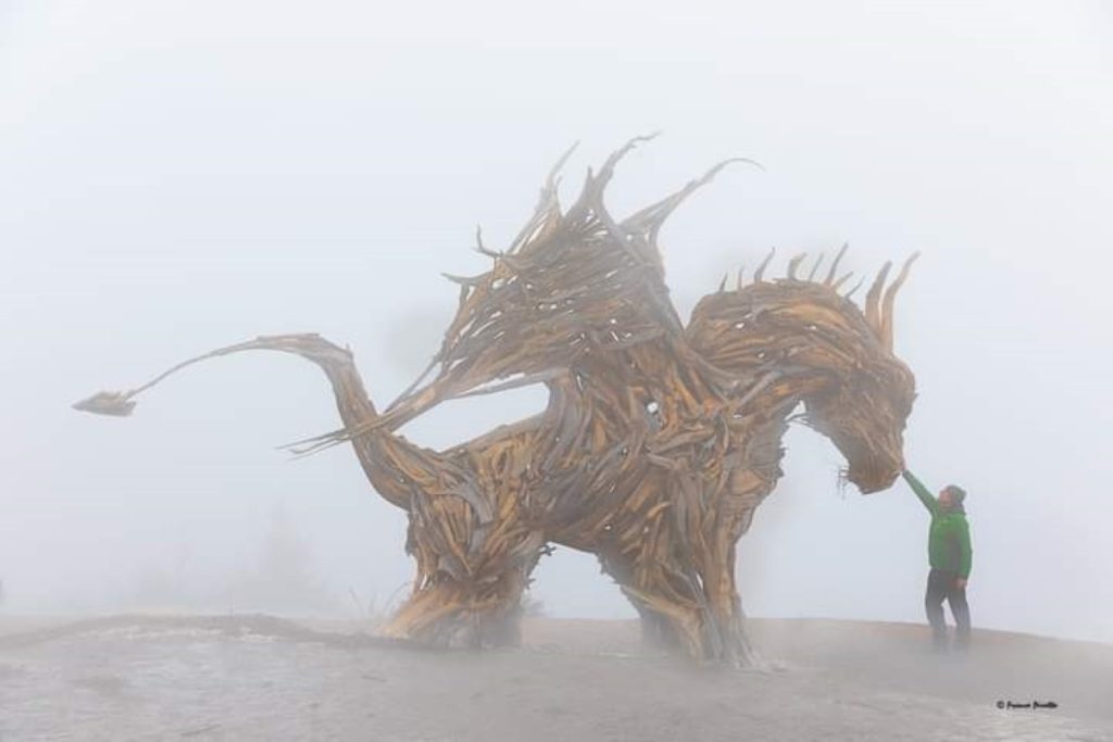 Il Drago di Vaia, prima del rogo del 22 agosto 2023