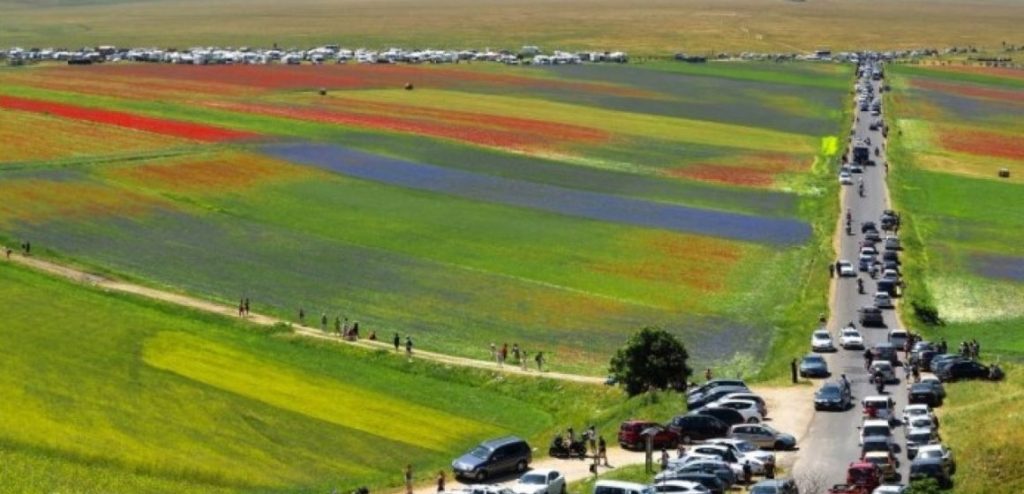 L'assedio delle auto ai campi fioriti dei Piani di Castelluccio @ Legambiente Umbria