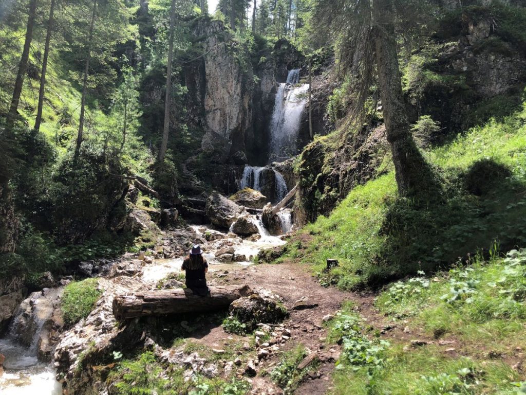Nel Parco Regionale delle Dolomiti d'Ampezzo. Foto Massimo Spampani