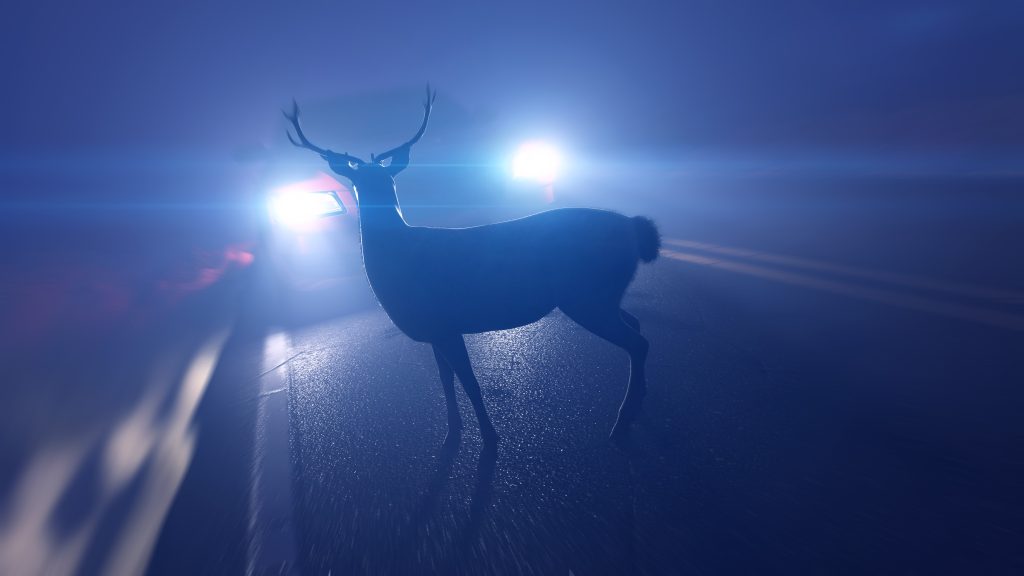 Attraversamento notturno @Adobe Stock