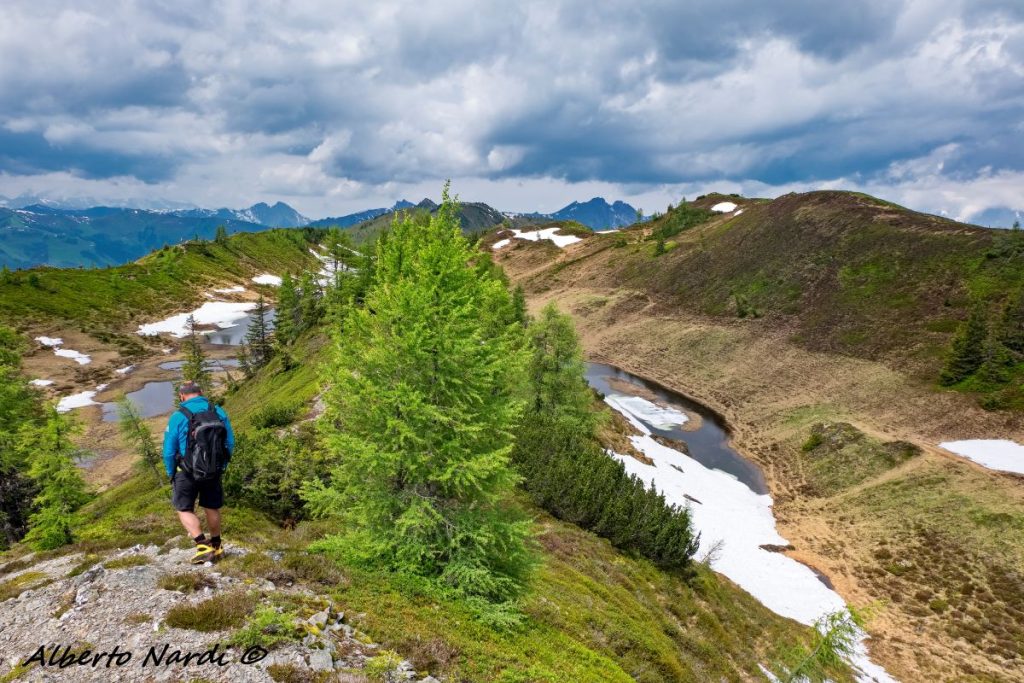 Escursione nella Ellmautal. Foto Alberto Nardi