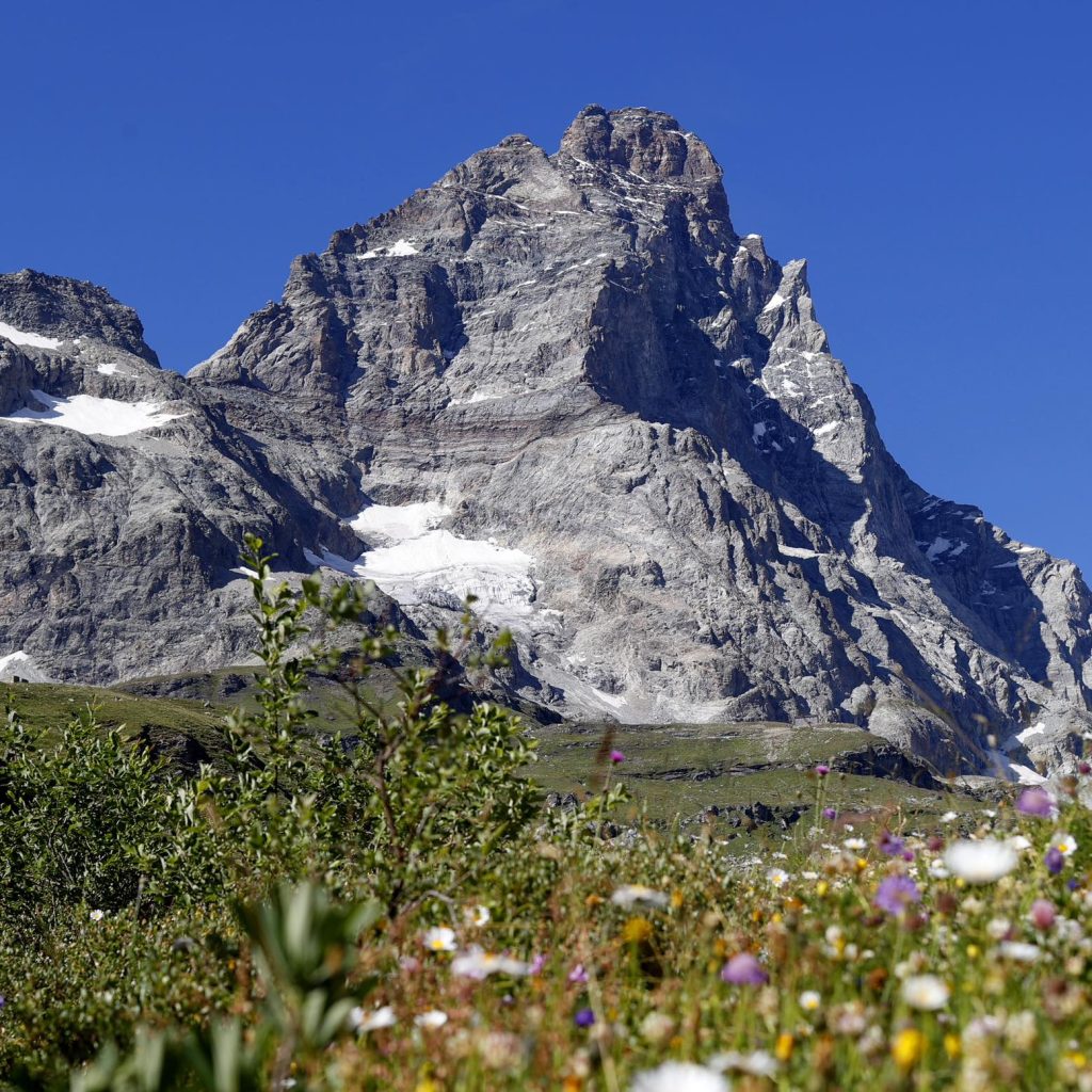 FB Cervino Mountain Music Festival