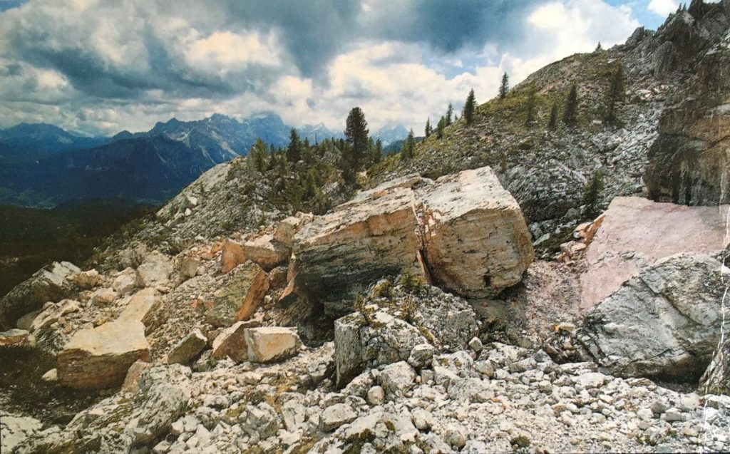 Gli enormi blocchi di roccia disseminati sul pendio dopo il crollo. Foto Enrico Majoni