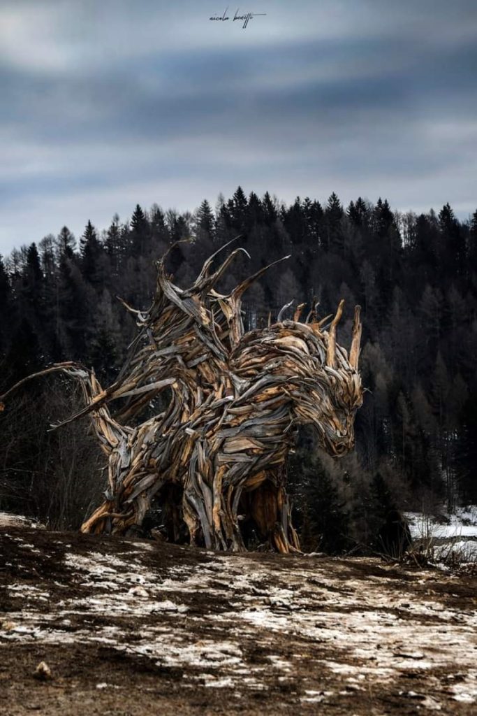 Il Drago di Vaia. Dopo il rogo della scorsa estate rinascerà ancora sull