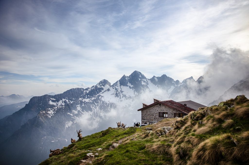 Il rifugio, gli stambecchi, le Orobie. FB Rifugio Brunone