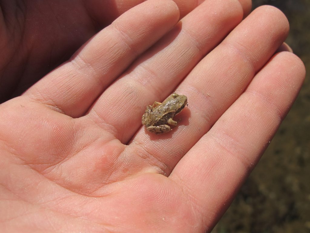 Inseguiamo tracce e indizi. Ph Michele Comi