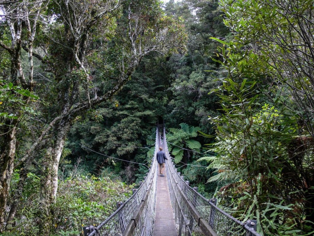 Kaitoke Regional Park